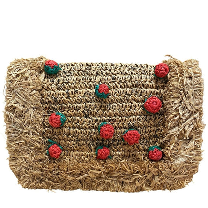 NEW Zara Raffia-Effect Beige Tan Strawberry Crossbody Boho Basket HandBag OS