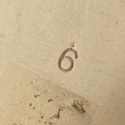 Jeffrey Campbell Vipera Women's Brown Strappy Leather Square Toe Heels Sandals 6