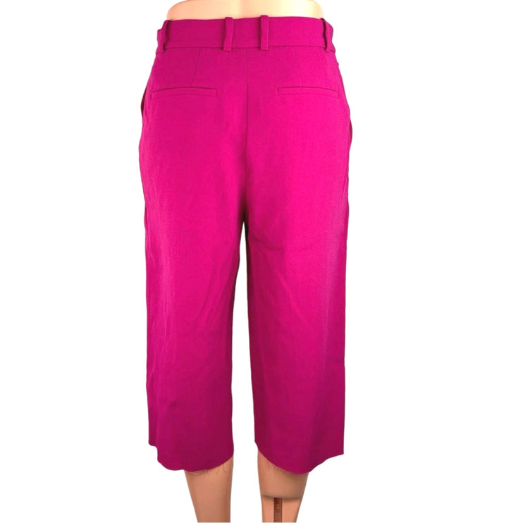 Aritzia Babaton Pink High Rise Raw Hem Straight Leg Capri Culottes Pants Size 2