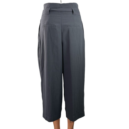H&M Women's Gray Pleated High Waisted Tie Belt Cropped Paperbag Trouser Pants 2