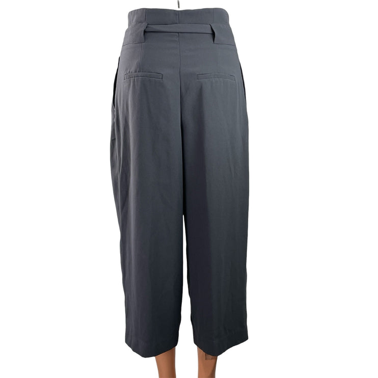 H&M Women's Gray Pleated High Waisted Tie Belt Cropped Paperbag Trouser Pants 2