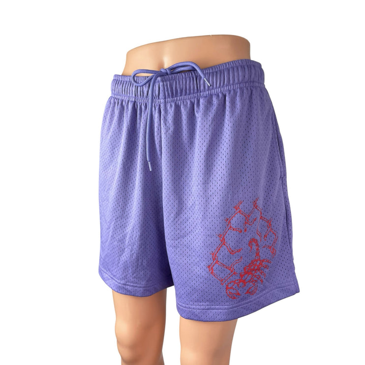 Urban Outfitters Purple Elastic Waist Athletic Activewear Basketball Shorts Sz M