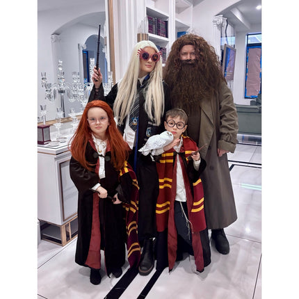 Preowned Luna Lovegood Harry Potter Adult Womens Halloween Cosplay Complete Set