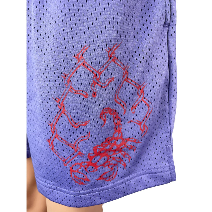Urban Outfitters Purple Elastic Waist Athletic Activewear Basketball Shorts Sz M